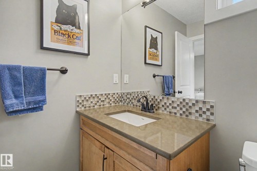 9704 221 St, Edmonton, AB - Indoor Photo Showing Bathroom