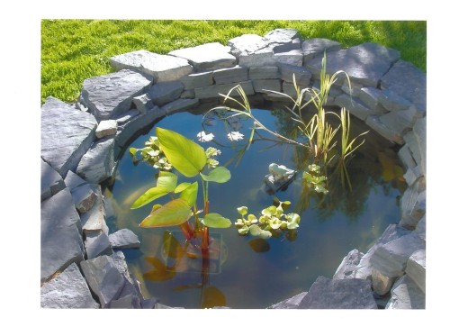 Circular pond with waterfall feature with a natural stone surround and aquatic plantings. Photo taken in prior years when yard is in full bloom. - 31 Wentworth Crescent, St. Albert, AB -  With View
