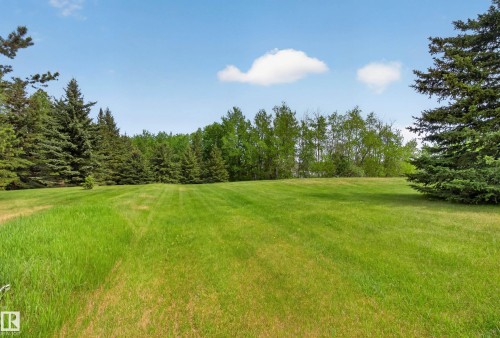 Expansive green lawn surrounded by mature evergreen and deciduous trees - 110 52308 Rr 214, Rural Strathcona County, AB 