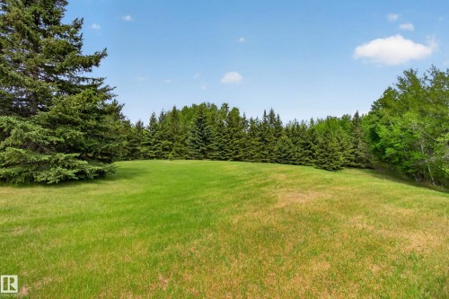 Expansive grassy lawn with a gentle incline - 110 52308 Rr 214, Rural Strathcona County, AB 