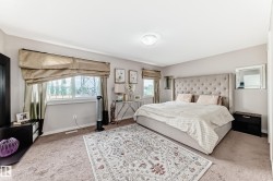 Plush carpet flooring provides comfort, complemented by a large window with natural light - 