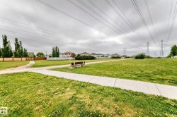 Expansive green space featuring concrete walking paths, mature trees, and a park bench - 
