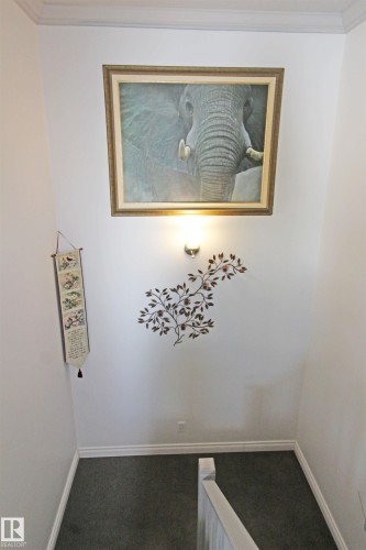 Carpeted staircase featuring a light-colored railing, white baseboards, and crown molding - 334 7001 Northview Drive, Wetaskiwin, AB - Indoor Photo Showing Other Room