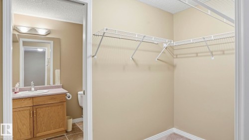 Walk-in closet featuring wire shelving and carpet flooring - 856 Graham Wynd, Edmonton, AB 