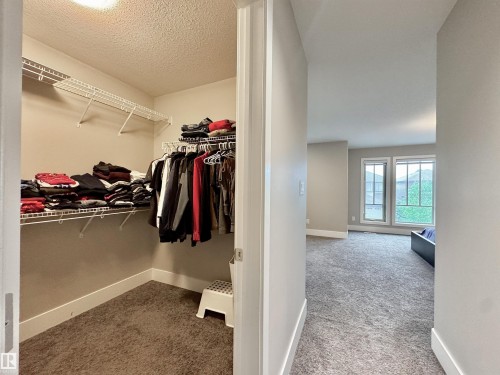 Walk-in closet featuring wire shelving, neutral carpeting, and a flush-mount ceiling light - 3254 Allan Way, Edmonton, AB 
