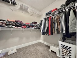 Walk-in closet featuring wall-mounted wire shelving, hanging rods, and carpet flooring - 