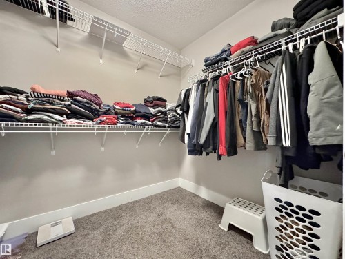 Walk-in closet featuring wall-mounted wire shelving, hanging rods, and carpet flooring - 3254 Allan Way, Edmonton, AB 