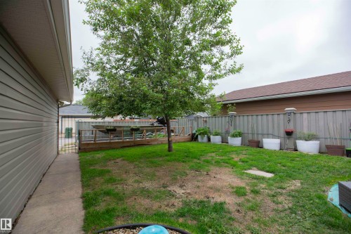 Expansive backyard featuring a mature tree, wooden privacy fence, and a concrete pathway - 52 Mohawk Crescent, Leduc, AB 