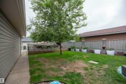 Expansive backyard featuring a mature tree, wooden privacy fence, and a concrete pathway - 
