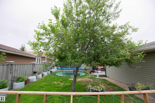 Expansive backyard featuring a central mature tree, green lawn, a privacy fence, and a side patio area - 52 Mohawk Crescent, Leduc, AB 
