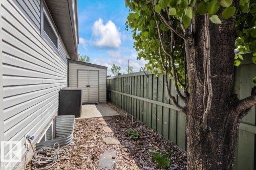 Side yard featuring a privacy fence, established tree, and a storage shed with a concrete pad - 1086 Grantham Drive, Edmonton, AB 