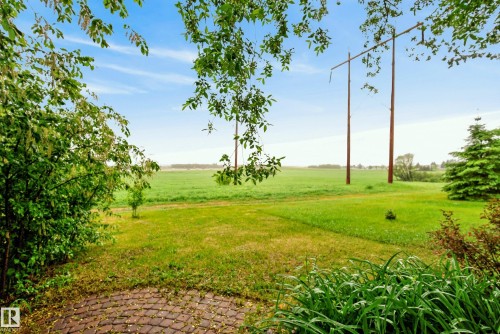 Expansive green space featuring a manicured lawn framed by mature trees and lush foliage, with a paved patio area - 78 Goodridge Drive, St. Albert, AB 