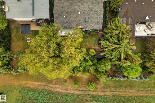Expansive backyard featuring a large green lawn, mature trees, and landscaping - 78 Goodridge Drive, St. Albert, AB 