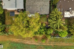 Expansive backyard featuring a large green lawn, mature trees, and landscaping - 