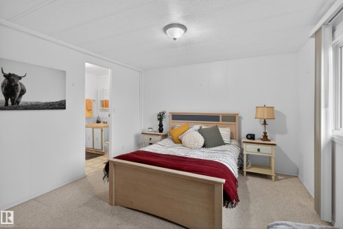 Carpeted bedroom with white walls, a visible window, and a ceiling light fixture - 21 Willowdale Drive, Edmonton, AB - Indoor Photo Showing Bedroom
