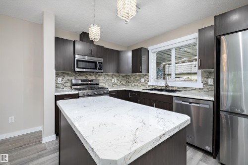 2914 18A Avenue, Edmonton, AB - Indoor Photo Showing Kitchen With Upgraded Kitchen