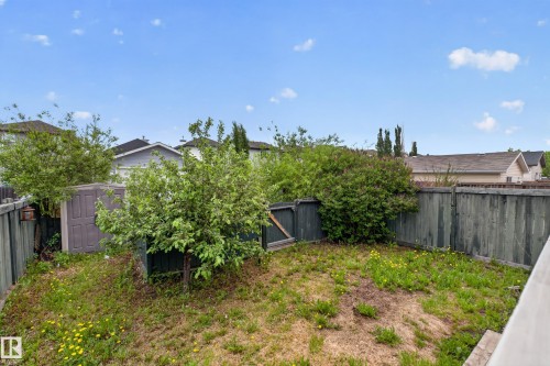 Fenced backyard with established trees, green shrubs, and a storage shed - 8 Vega Avenue, Spruce Grove, AB - Outdoor
