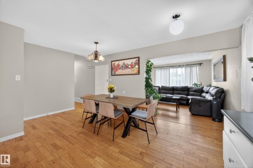 Open concept living space featuring wood-finish flooring throughout, a chandelier light fixture, and a bay window with curtains - 5216 104A Street, Edmonton, AB - Indoor