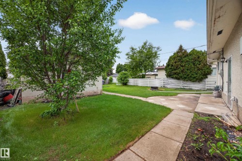 Expansive backyard featuring a manicured lawn, established tree, concrete patio, and perimeter fencing - 5216 104A Street, Edmonton, AB - Outdoor