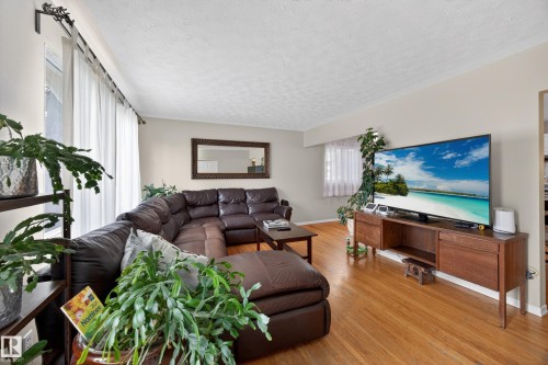 Living area featuring wood-finish flooring, light-toned walls, and multiple windows with curtain rods - 5216 104A Street, Edmonton, AB - Indoor Photo Showing Living Room