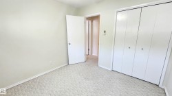 Neutral-toned wall paint and textured carpeting - 