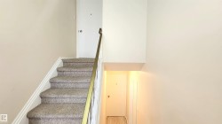 Carpeted staircase featuring a brass handrail and white trim - 