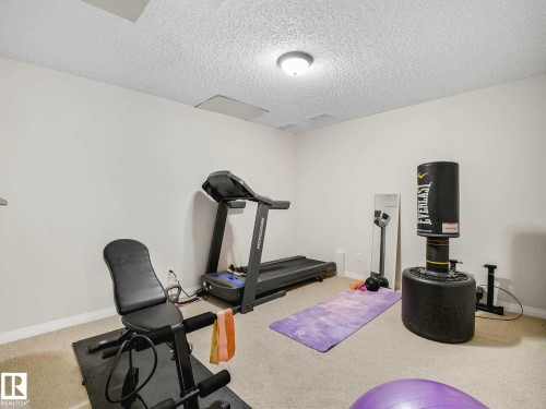 920 Haliburton Road, Edmonton, AB - Indoor Photo Showing Gym Room