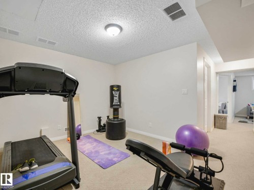 920 Haliburton Road, Edmonton, AB - Indoor Photo Showing Gym Room