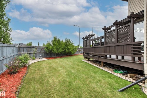 Spacious backyard featuring a substantial brown wood deck with lattice privacy screens, a manicured lawn, and mature perimeter trees - 5709 Mcluhan Bay, Edmonton, AB 