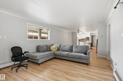 Bright living area featuring wood-finish flooring, white crown molding, and light gray wall paint - 