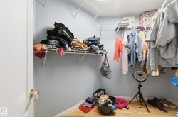 Walk-in closet featuring light blue walls and wood-finish flooring - 