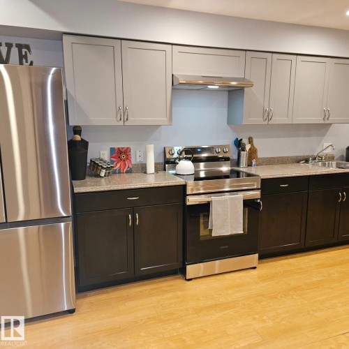 Second Kitchen Downstairs. - 10216 89 Street, Edmonton, AB - Indoor Photo Showing Kitchen With Double Sink