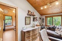 Vaulted wood-plank ceiling with track lighting - 