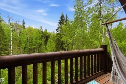 Wood-plank balcony with a log-style railing and a natural tree canopy backdrop - 