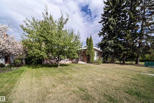 Yard - 6403 132 Street, Edmonton, AB - Outdoor