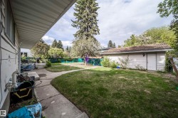Expansive backyard featuring a concrete pathway, a detached outbuilding with a shingled roof, mature trees, and a green perimeter fence - 
