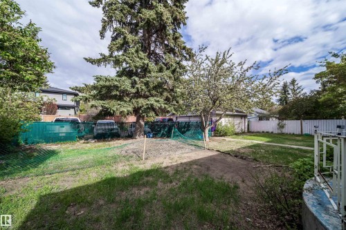 Yard - 6403 132 Street, Edmonton, AB - Outdoor