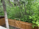 Backyard space featuring a newly installed wood fence, a wood gate, and mature trees providing natural screening - 167 Ridgewood, St. Albert, AB  - Outdoor 
