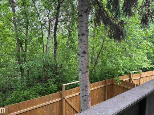 Wood privacy fencing bordering a treed natural landscape - 167 Ridgewood, St. Albert, AB - Outdoor