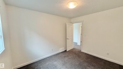 Neutral-toned interior room featuring textured carpet flooring, white walls, and a single window - 