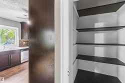Built-in pantry featuring white interior walls and dark-toned shelving - 