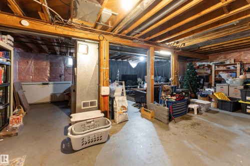 11228 67 Street, Edmonton, AB - Indoor Photo Showing Basement