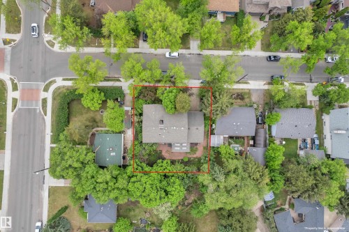 Aerial perspective showcasing a property surrounded by mature trees, featuring a gabled roofline and multiple skylights - 10819 54 Avenue, Edmonton, AB 