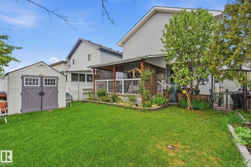 Expansive backyard featuring a manicured lawn, a detached storage shed with double doors, a covered deck with white railings, and mature trees - 3231 28A Avenue, Edmonton, AB 