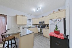 Kitchen featuring light-toned cabinetry, light-colored countertops, stainless steel appliances, and wood-finish flooring - 