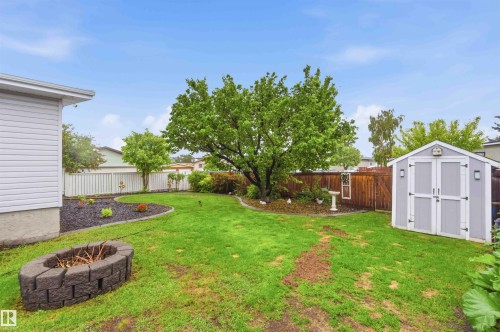 Expansive lawn area featuring a block fire pit, mature tree, and a light gray storage shed with white trim - 11431 144 Avenue, Edmonton, AB 