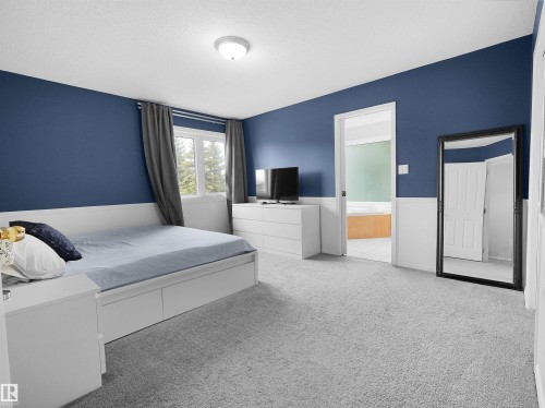 Light gray carpeted flooring paired with a two-tone wall treatment featuring a lower white panel and an upper blue section - 208 Ferguson Place, Edmonton, AB 