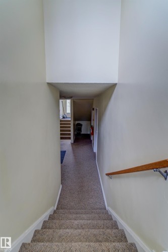 Carpeted staircase with a wood handrail leading to a carpeted hallway - 9749 88 Avenue, Edmonton, AB - Indoor Photo Showing Other Room