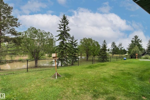 Expansive backyard featuring a manicured lawn, chain-link fencing, and a mature tree line - 32 Lamplight Bay, Spruce Grove, AB 