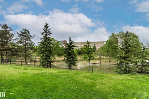 Expansive green lawn with a black chain-link fence, mature evergreen trees, and a visible pond - 32 Lamplight Bay, Spruce Grove, AB 